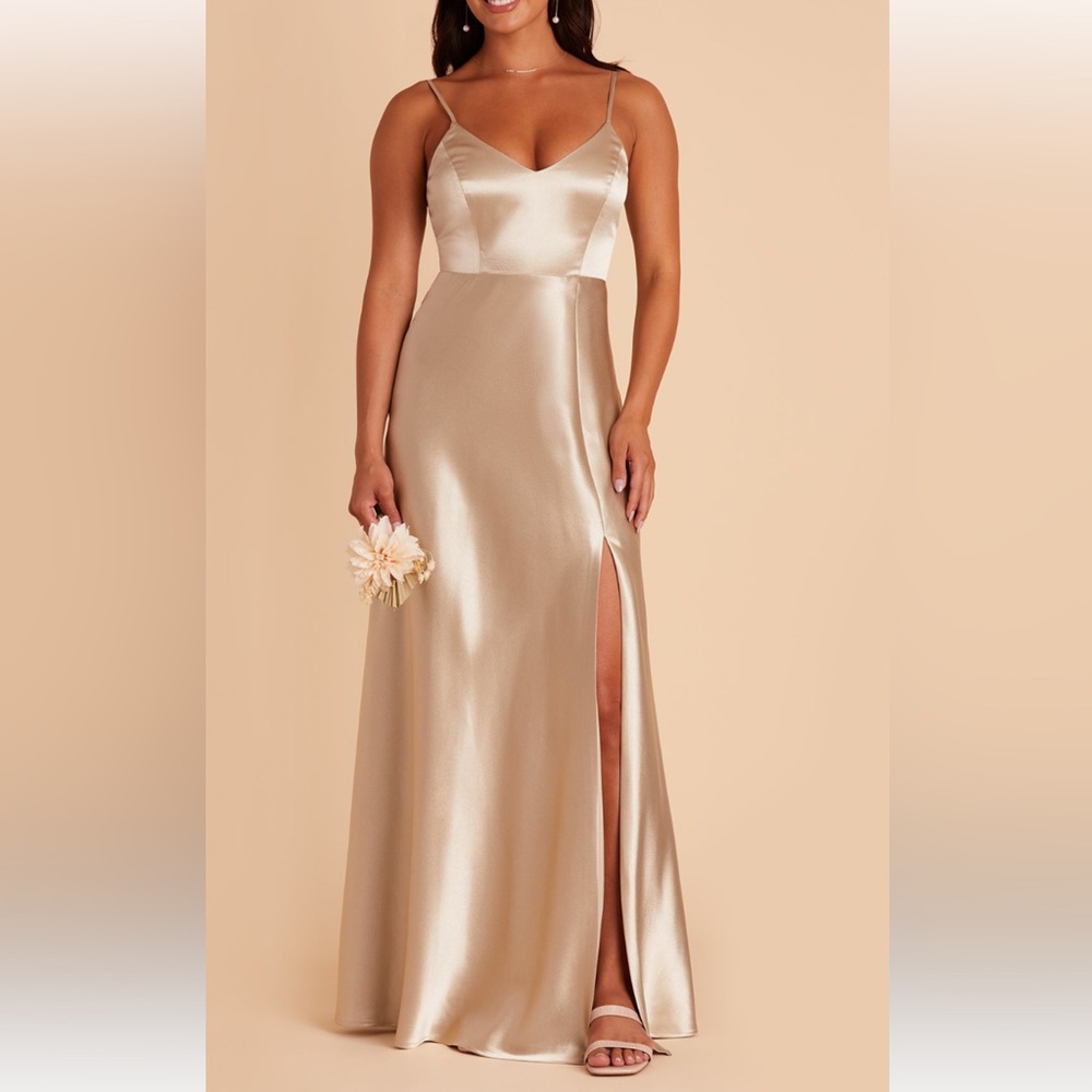 NWT - NEW Birdy Grey Jay Dress Neutral Champagne fully lined